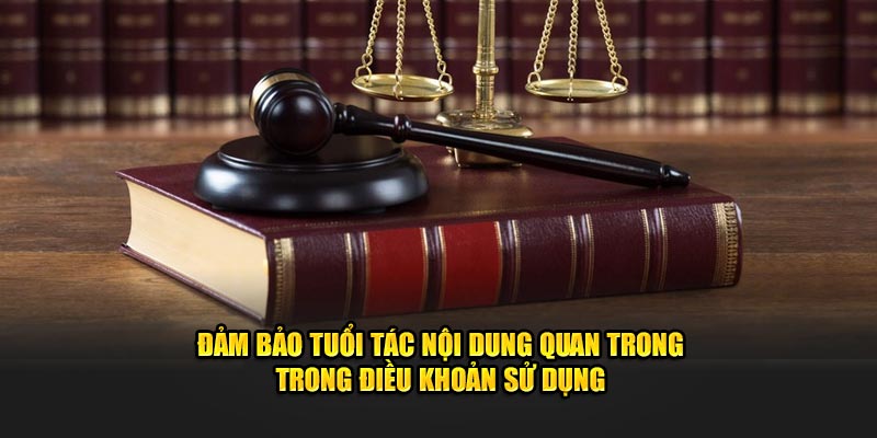 Đảm bảo tuổi tác nội dung quan trong trong điều khoản sử dụng